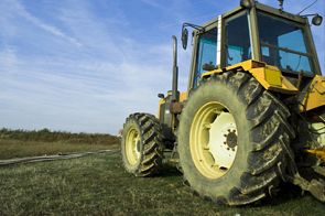 Agri Pe, one of the largest farmer in Botoșani, has chosen Charisma for Agriculture